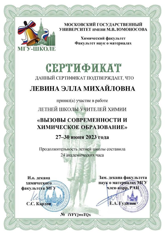 2022-2023 Левина Э.М. (Сертификат летняя школа учителей химии)